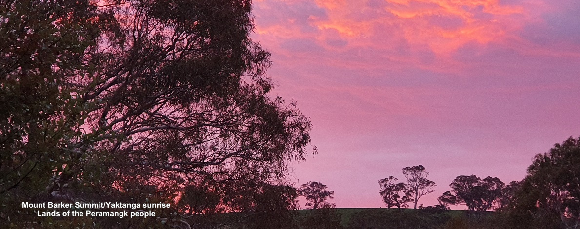 Sunrise over Mount Barker Summit/Yaktanga on the lands of the Peramangk people